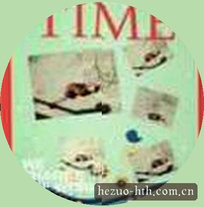 郑凯